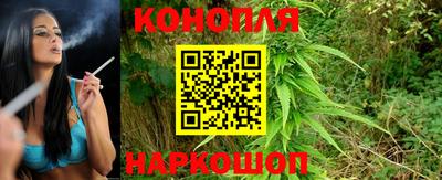 мяу мяу мука Пенза